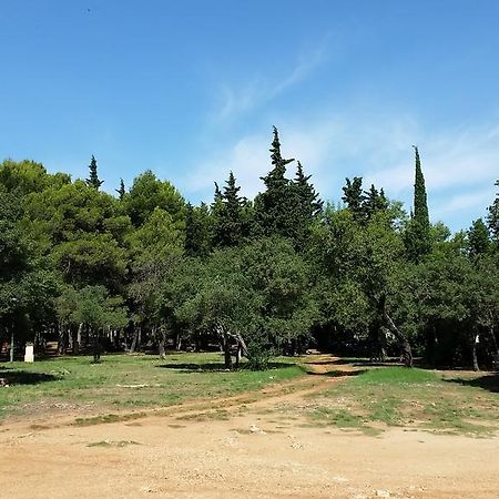 Bungalows Jurjevac Stari Grad  Esterno foto